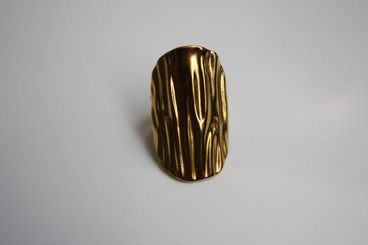 Anello Egitto